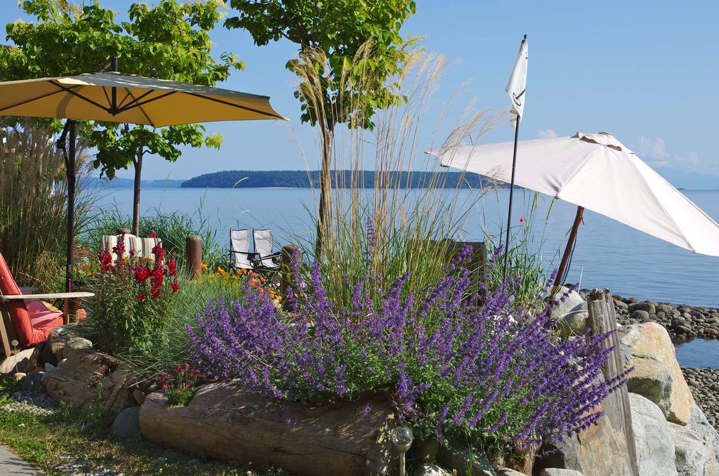 Blitz Beach House Oceanside Suite Powell River Extérieur photo